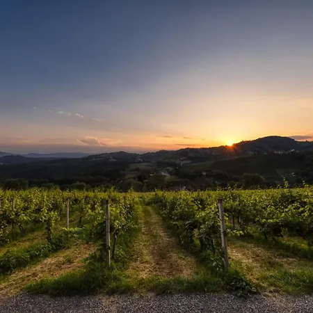 Guest house Weingut Reiterer