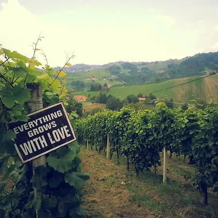 Weingut Reiterer Kitzeck im Sausal