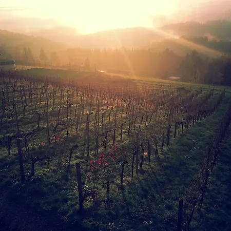 Weingut Reiterer 3* كيتسك إيم زاوزال