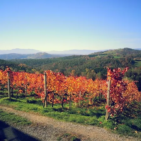 Weingut Reiterer بيت ضيافة