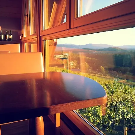 Guest house Weingut Reiterer 3*