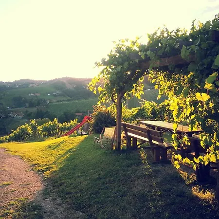 Weingut Reiterer Guest house