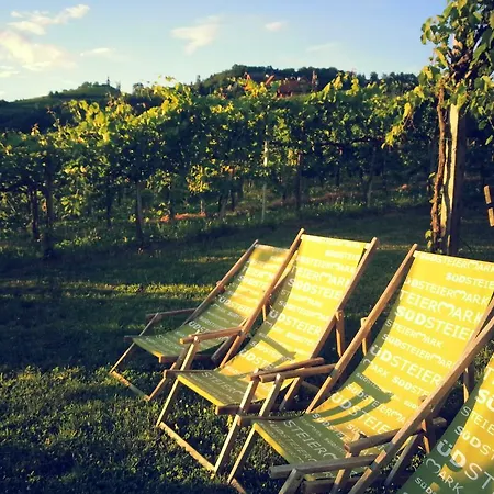 Weingut Reiterer Guest house 3*