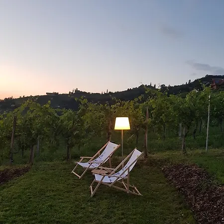 Guest house Weingut Reiterer