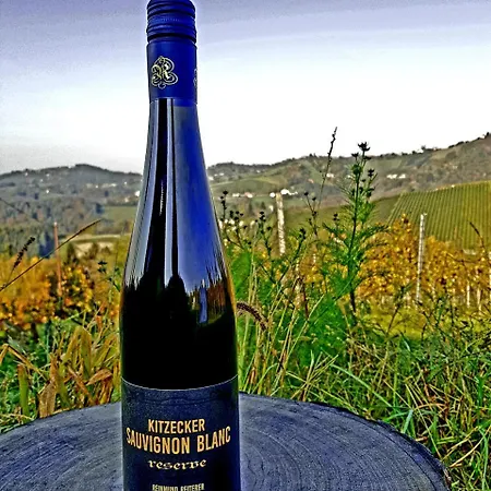 Weingut Reiterer Guest house