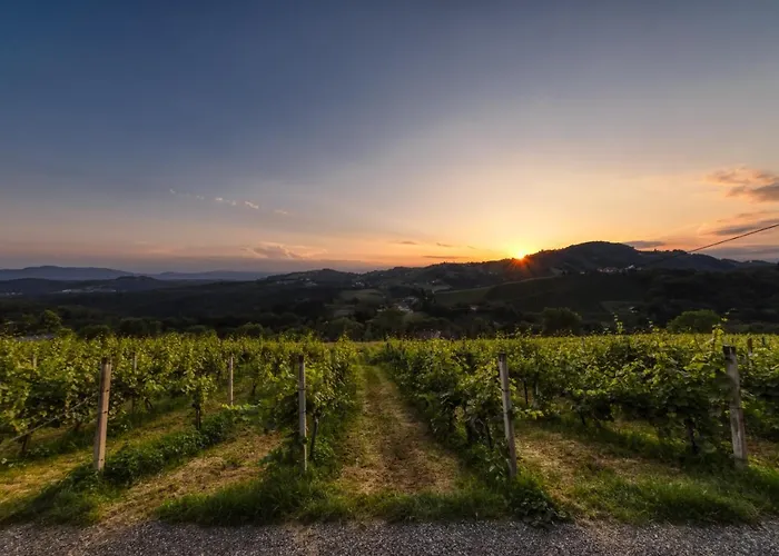 بيت ضيافة Weingut Reiterer