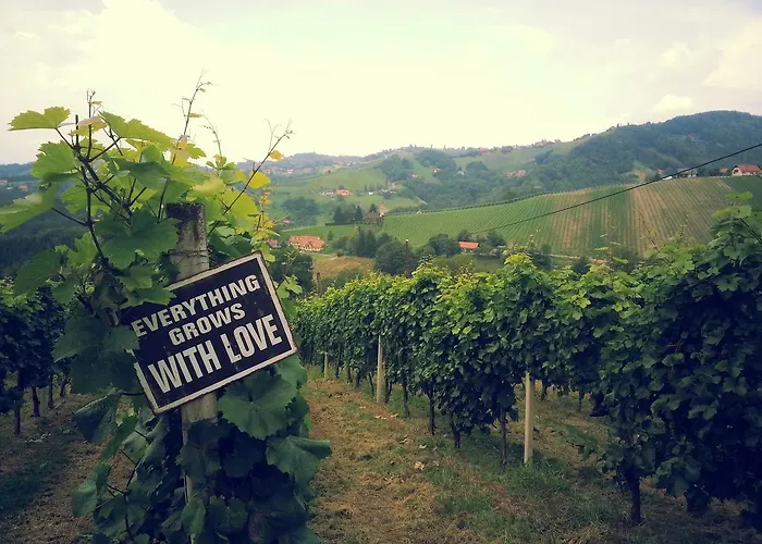 Weingut Reiterer Kitzeck im Sausal