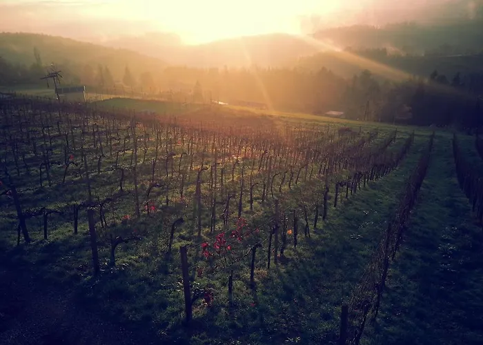 Weingut Reiterer 3* Kitzeck im Sausal