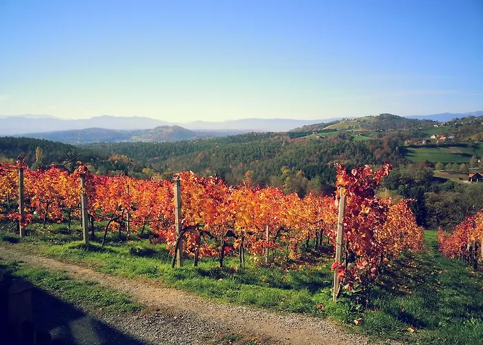 Weingut Reiterer بيت ضيافة