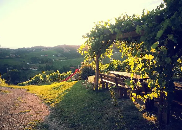 Weingut Reiterer بيت ضيافة