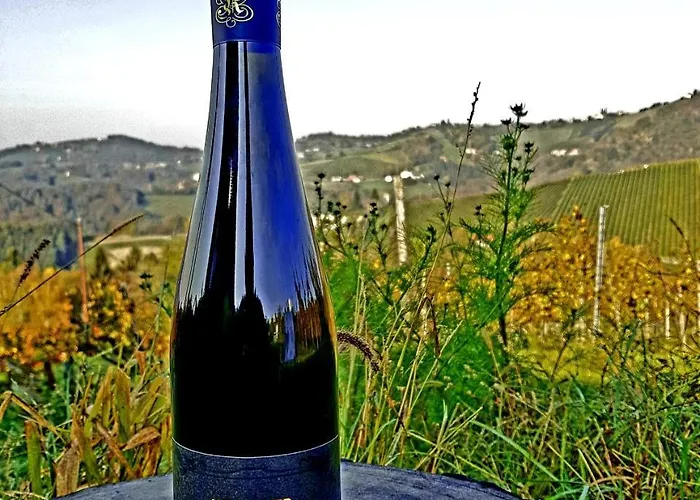 Weingut Reiterer Gasthof